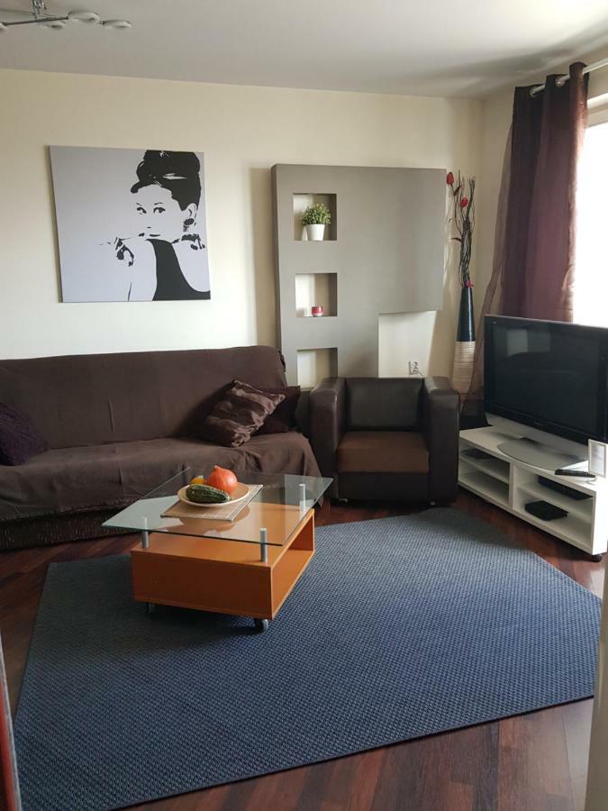 Top Loft Warsaw With Swimming Pool 아파트 외부 사진